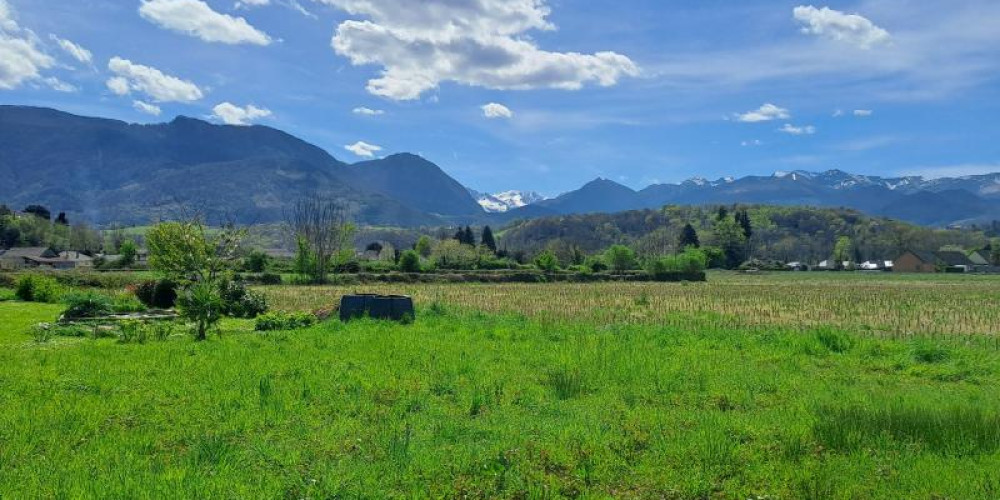 terrain à MONTAUT (64800)