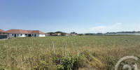 terrain à MASLACQ (64300)
