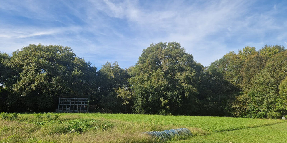 terrain à URRUGNE (64122)