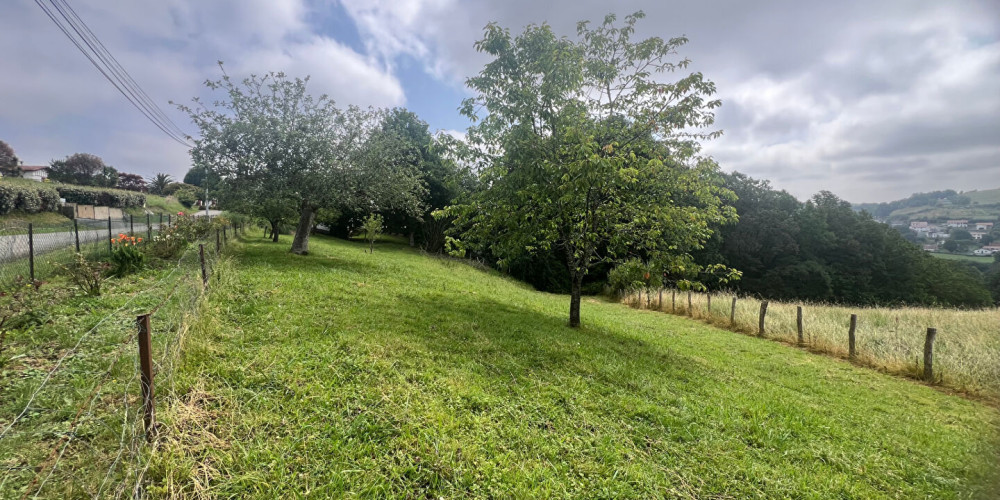 terrain à HASPARREN (64240)