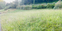 terrain à URCUIT (64990)