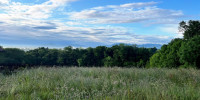 terrain à ANGLET (64600)