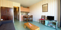 appartement à ST LARY SOULAN (65170)