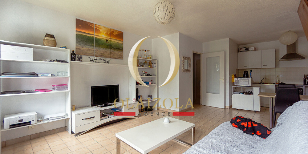 appartement à ST PEE SUR NIVELLE (64310)