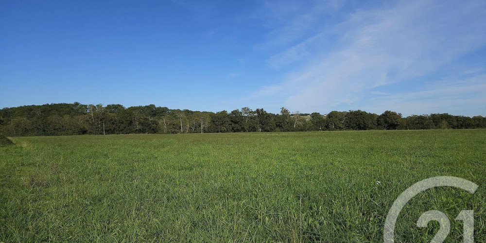 terrain à SAULT DE NAVAILLES (64300)