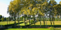 terrain à MERITEIN (64190)