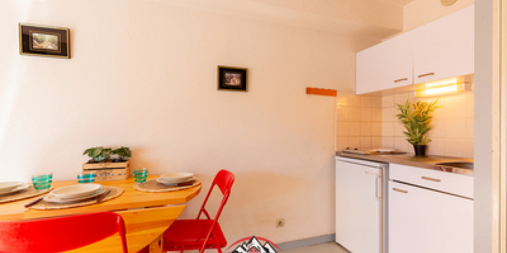 appartement à ST LARY SOULAN (65170)