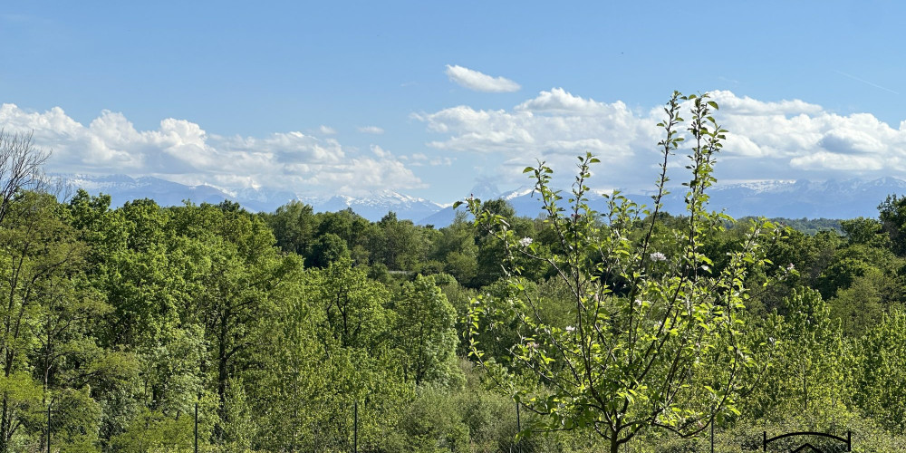 terrain à LESCAR (64230)
