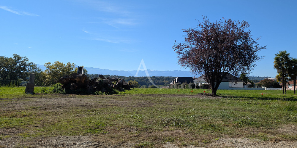 terrain à IDRON (64320)