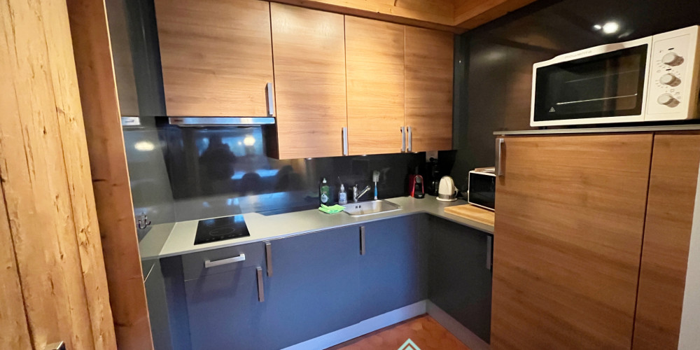 appartement à ST LARY SOULAN (65170)