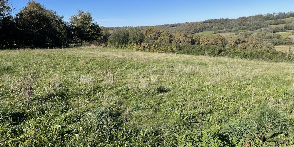 terrain à SAUVAGNON (64230)