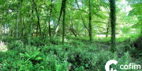 terrain à CASTETIS (64300)