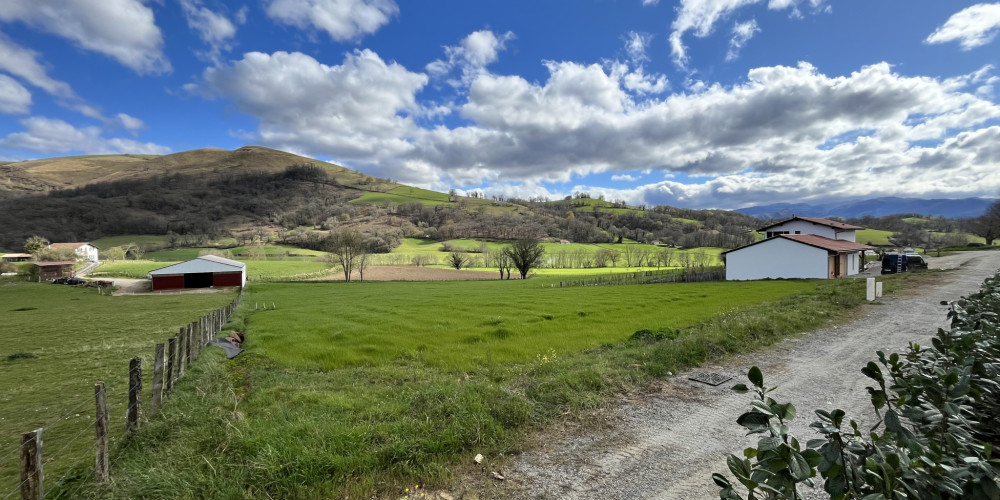 terrain à LACARRE (64220)