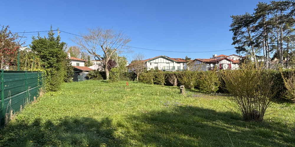 terrain à ST JEAN DE LUZ (64500)