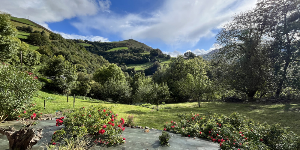 maison à ARNEGUY (64220)