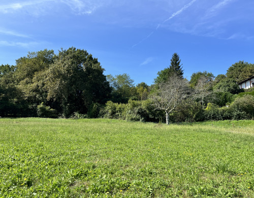 terrain  ST JEAN PIED DE PORT