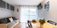 appartement à ST LARY SOULAN (65170)