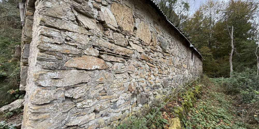 maison à CAMPAN (65710)