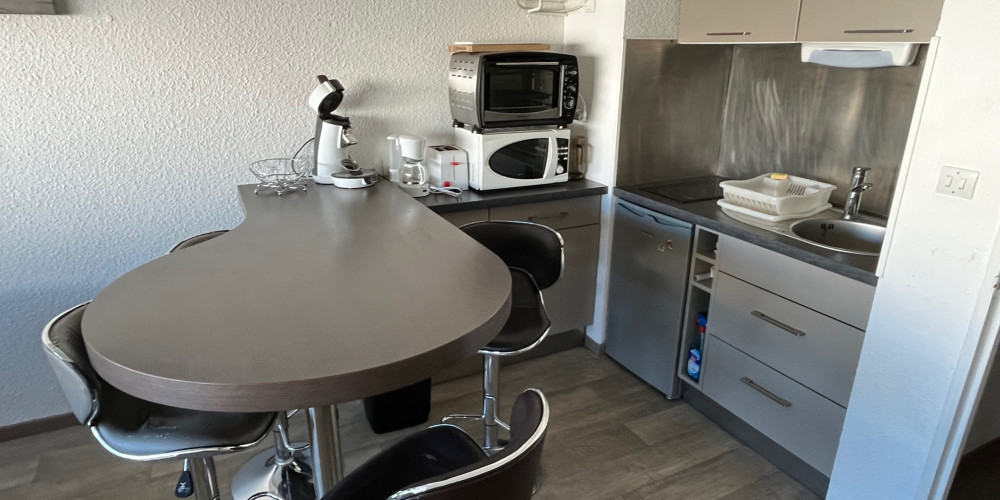 appartement à ST LARY SOULAN (65170)