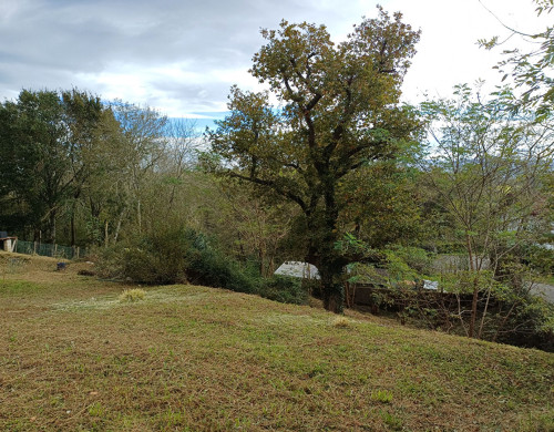 terrain  ST PEE SUR NIVELLE