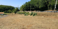 terrain à LAHONCE (64990)