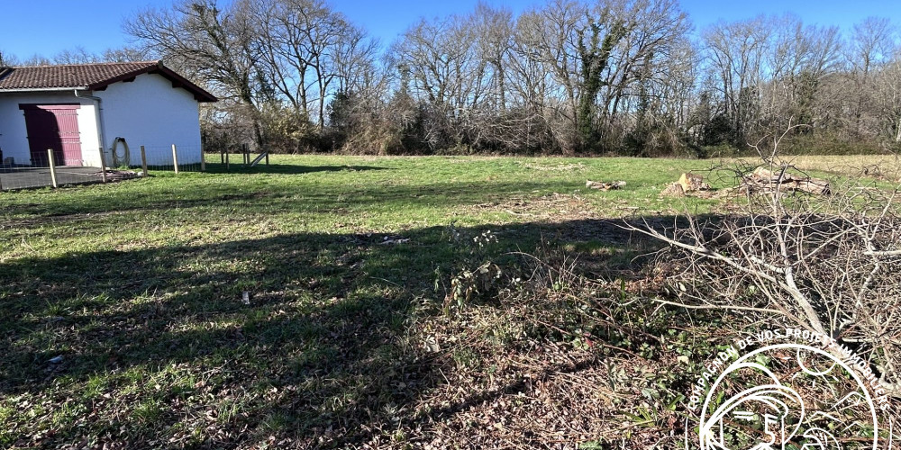 terrain à JATXOU (64480)