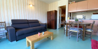 appartement à ST LARY SOULAN (65170)