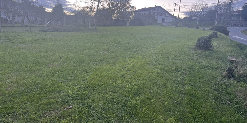 terrain à SOURAIDE (64250)