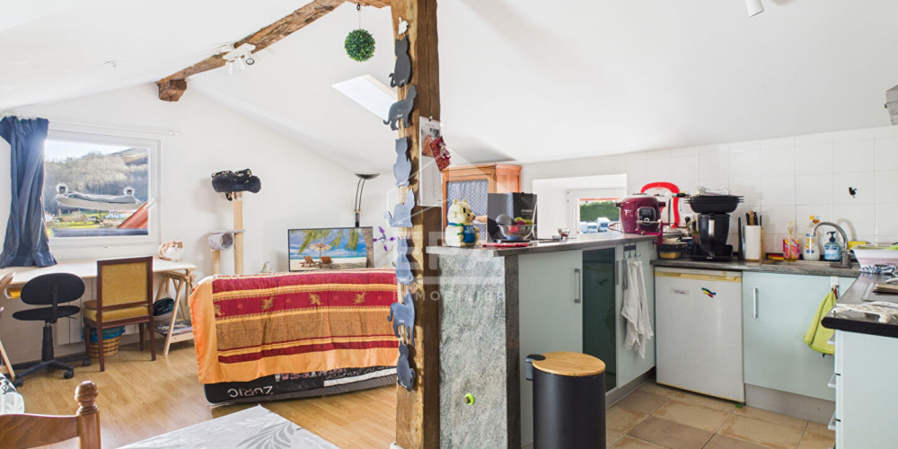 appartement à HASPARREN (64240)