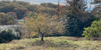 terrain à VILLEFRANQUE (64990)