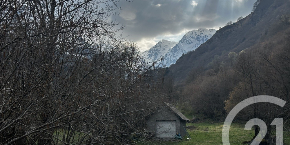 maison à ESTAING (65400)