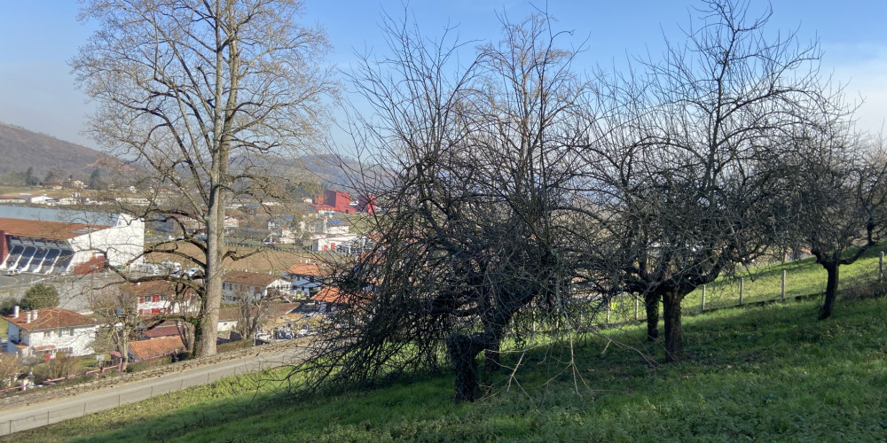 terrain à ST JEAN PIED DE PORT (64220)