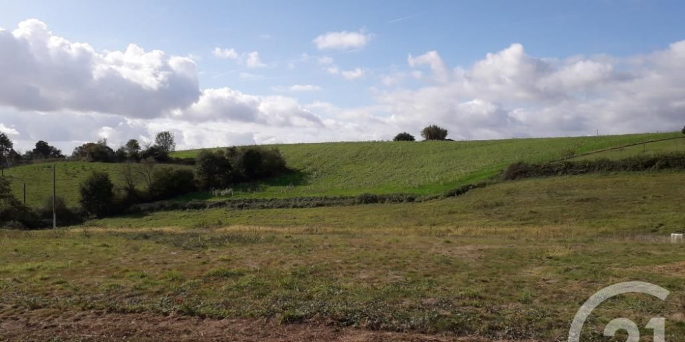 terrain à LABEYRIE (64300)