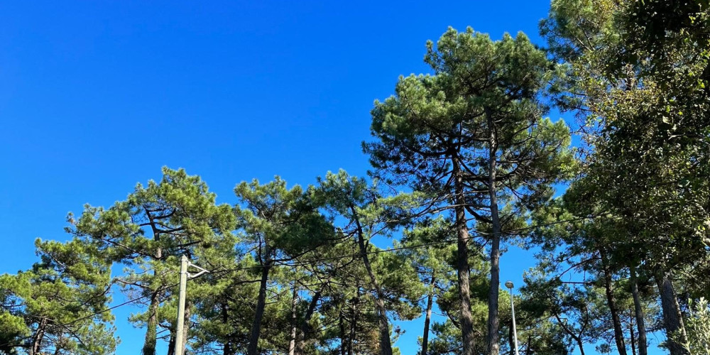 maison à ANGLET (64600)