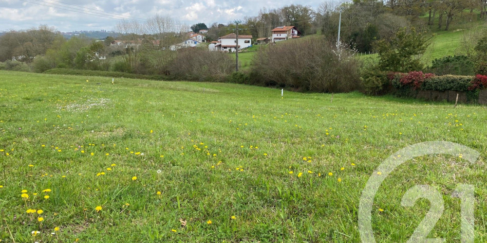 terrain à ST PIERRE D IRUBE (64990)