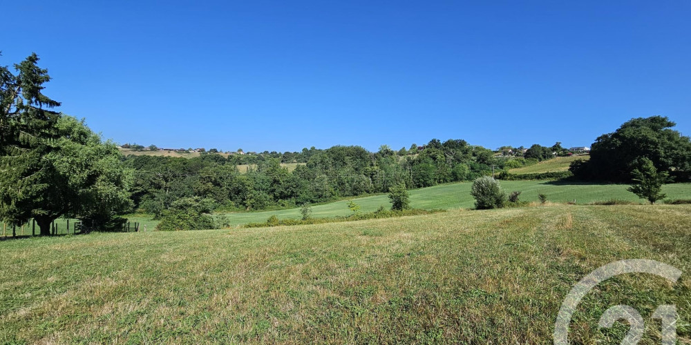 terrain à BAIGTS DE BEARN (64300)