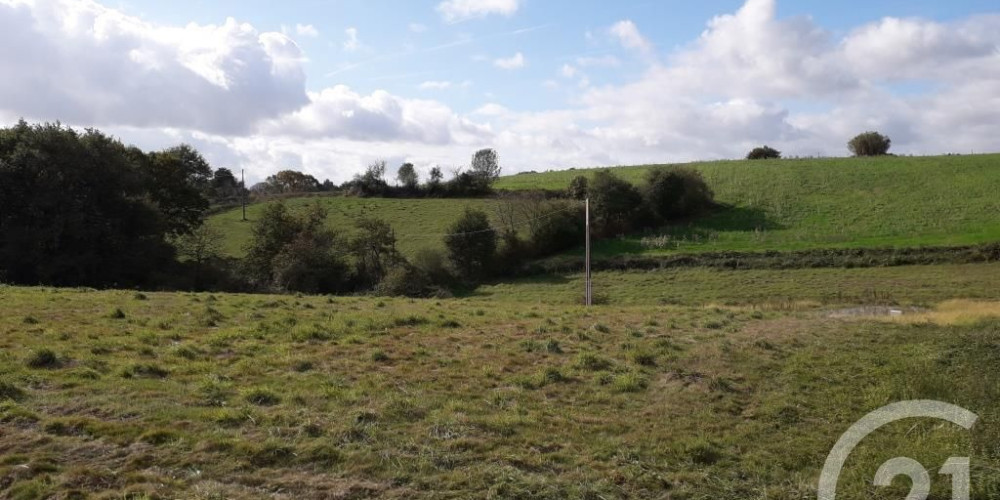 terrain à LABEYRIE (64300)