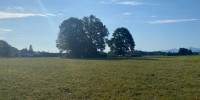 terrain à LANNEMEZAN (65300)