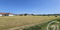 terrain à MASLACQ (64300)