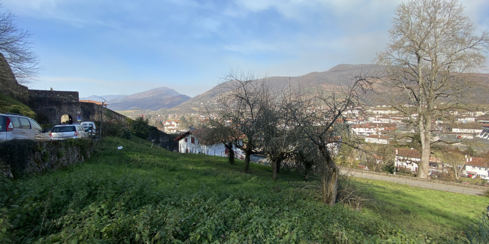 terrain à ST JEAN PIED DE PORT (64220)