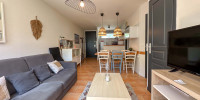 appartement à ST LARY SOULAN (65170)