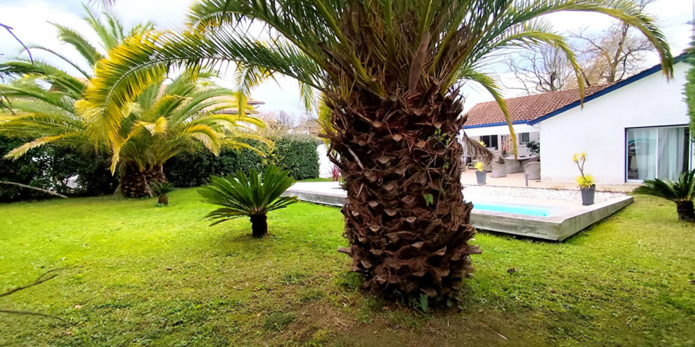 maison à LAHONCE (64990)