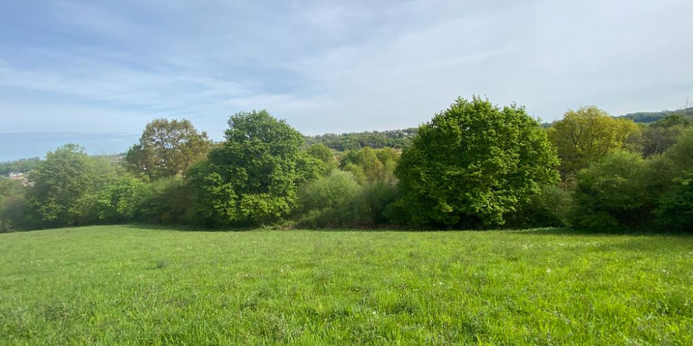 terrain à MONTARDON (64121)