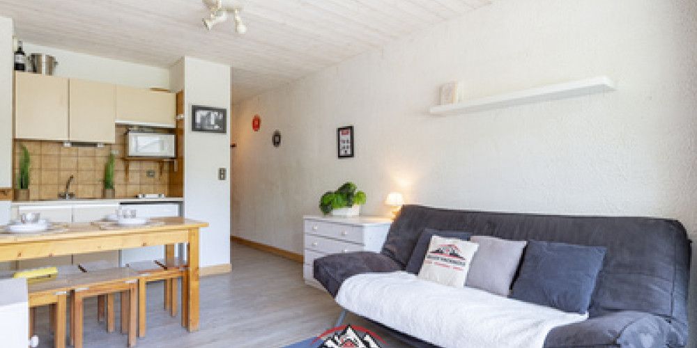 appartement à ST LARY SOULAN (65170)