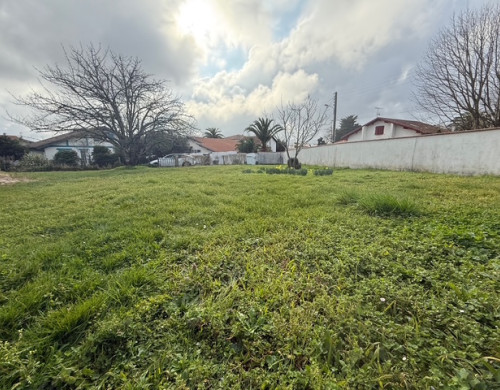 terrain  ANGLET