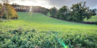 terrain à GARLIN (64330)