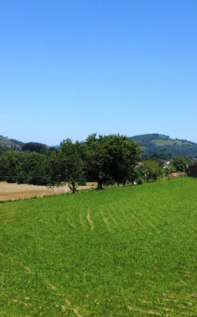 Terrain  ST JEAN PIED DE PORT