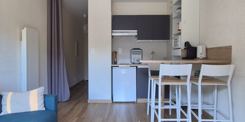 appartement à ST LARY SOULAN (65170)