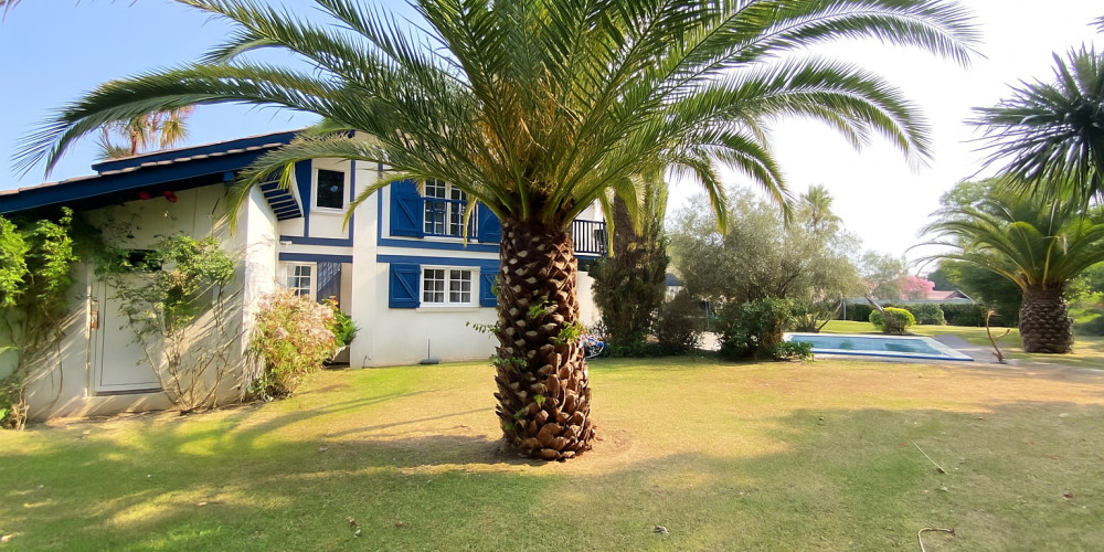 maison à BASSUSSARRY (64200)