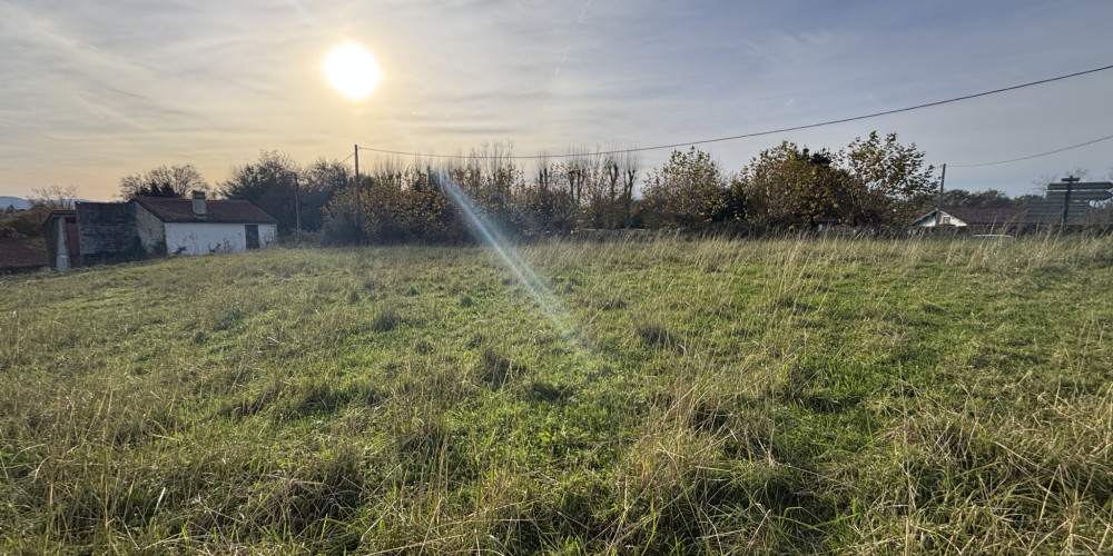 terrain à ARBONNE (64210)